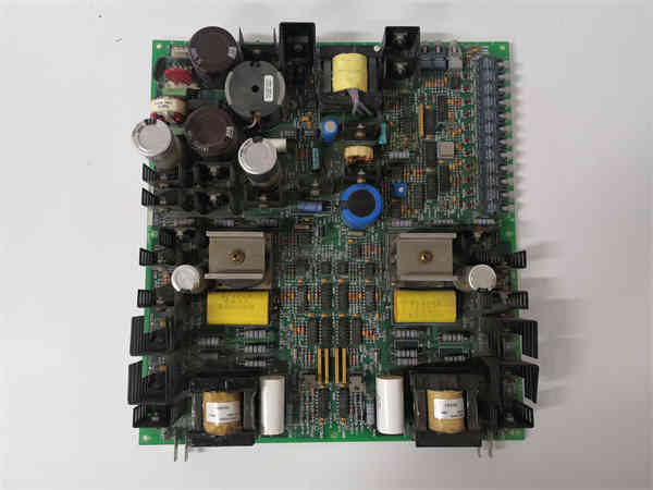 DS200FGPAG1AHD(1).jpg