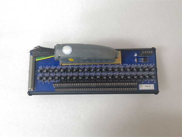 ICS T8830 (4).jpg