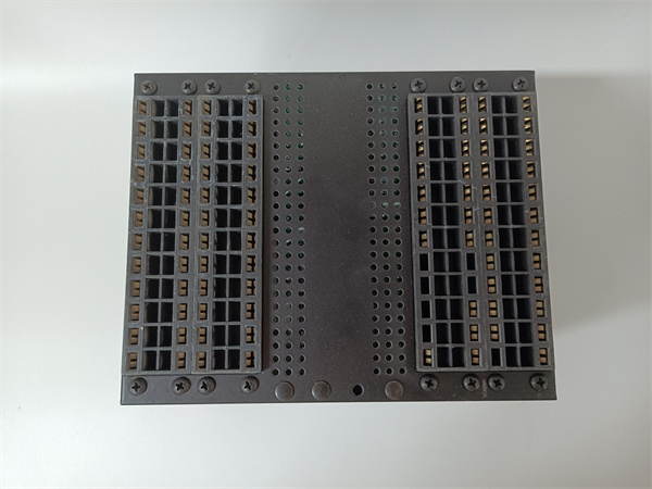 SR 750-P1-G1-S1-HI-A20-G (6).jpg