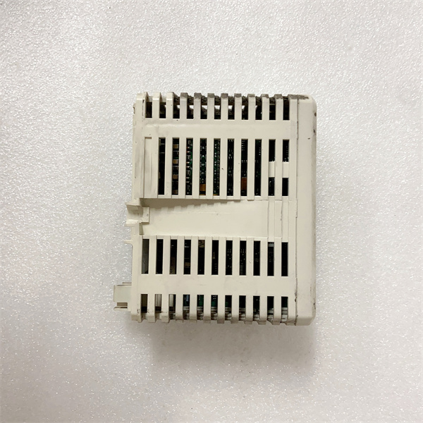 AI810 3BSE008516R1 (5).JPG
