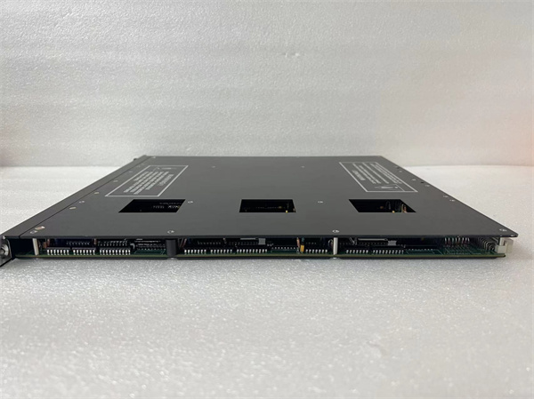 TRICONEX 3511 (5).jpg