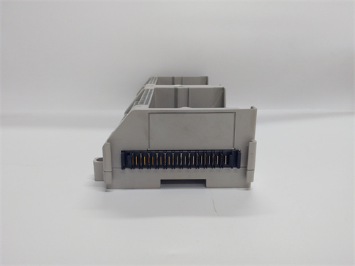 1B30035H01 (3).jpg