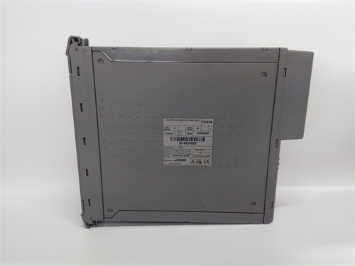 T8151B (1).jpg