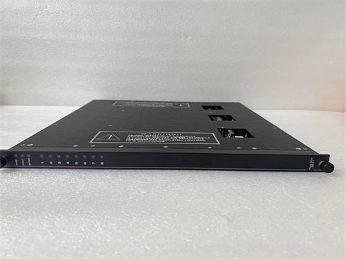 TRICONEX 3511 (6).jpg