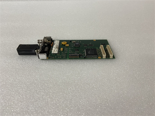 TPMC815-11 (2).jpg