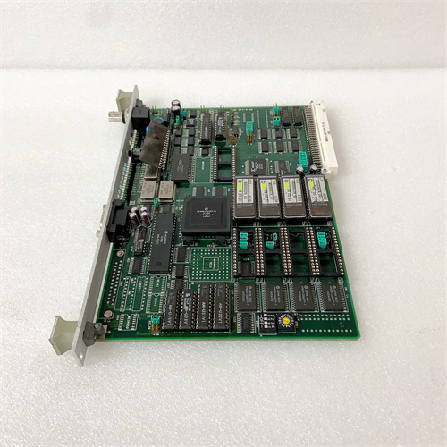 TVB-1202-1ANET 1381-647980-12 (3).JPG