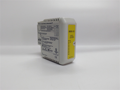 8810-HI-TX-01 (4).jpg