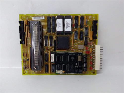 DS200SLCCG1ACC DS215SLCCG1AZZ01A (1) - 副本.jpg