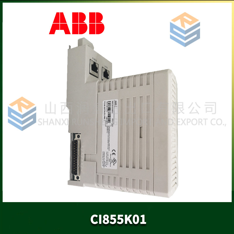 ABB CI855K01 (1).jpg