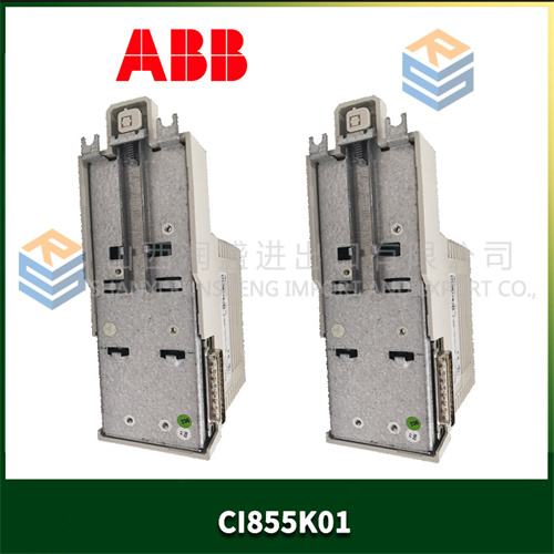 ABB CI855K01 (3).jpg