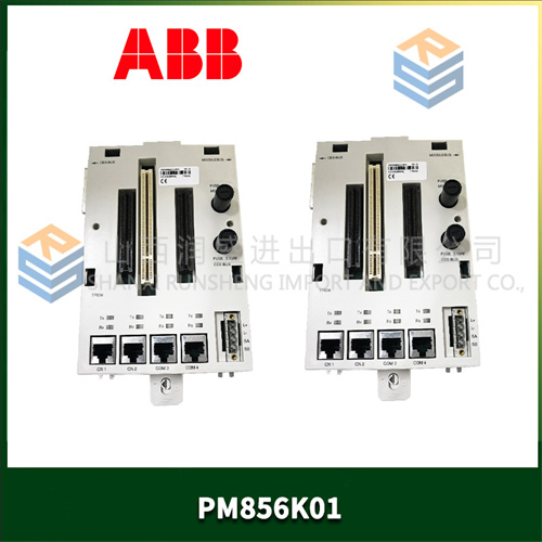 ABB PM856K01 (2).jpg