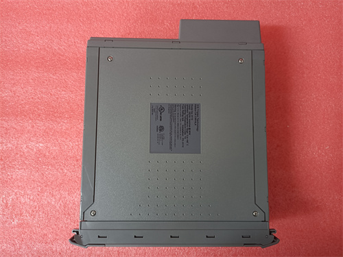 T8110B (5).jpg