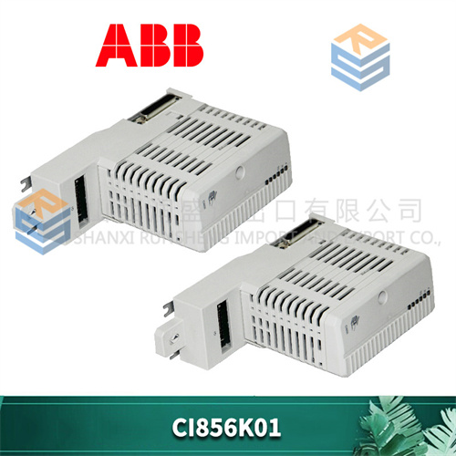ABB CI856K01 (2).jpg