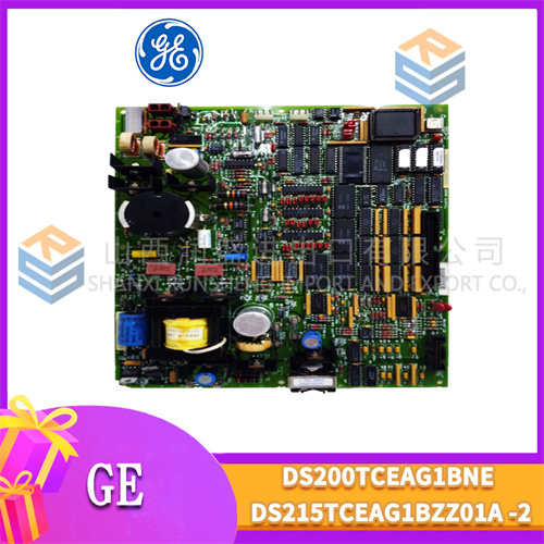 GE DS200TCEAG1BNE DS215TCEAG1BZZ01A (1).jpg